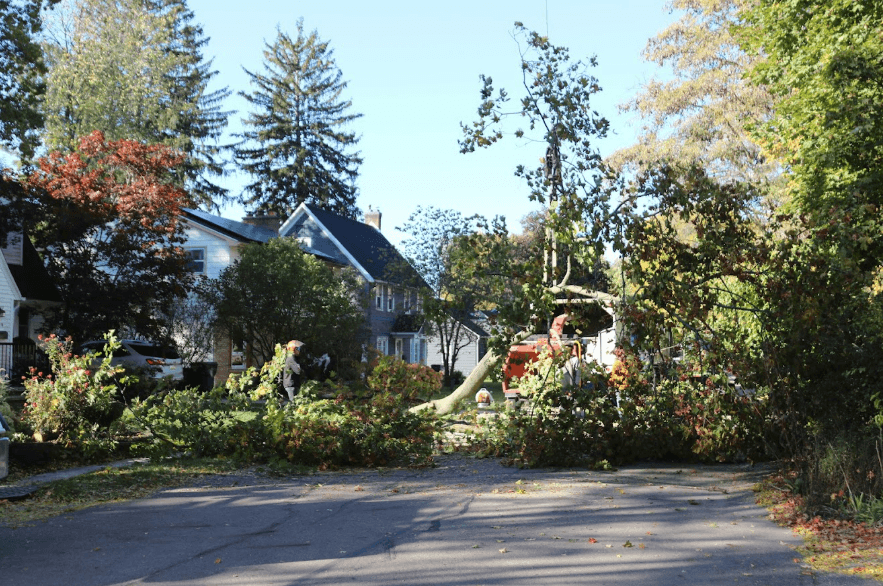 Storm Damage cleanup
