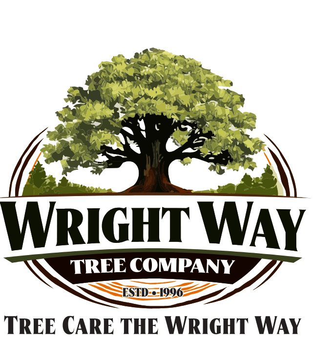 Wright Way Tree Company Logo