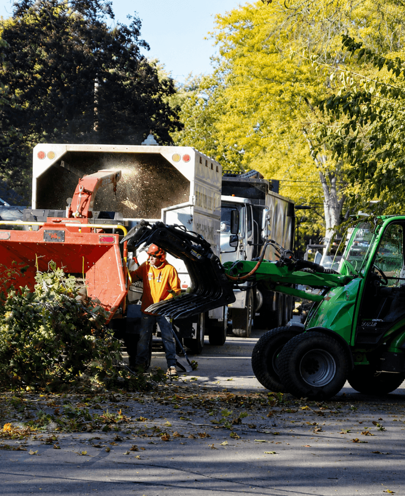 Recent tree removal and land clearing projects completed by Wright Way Tree Company